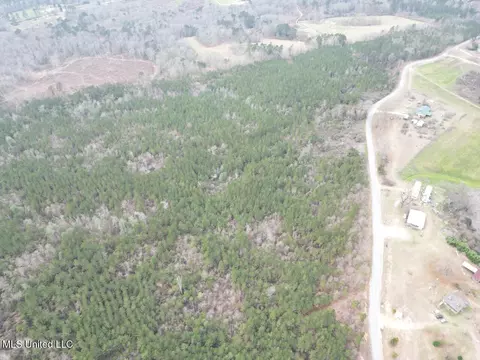 1847 Smith County Road 123, Magee, MS 39111 photo 18