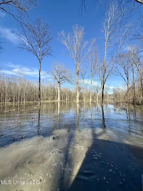 Abraham Road, Silver City, MS 39166