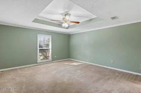 306 Sandpiper Ln, Madison, MS 39110 photo 21