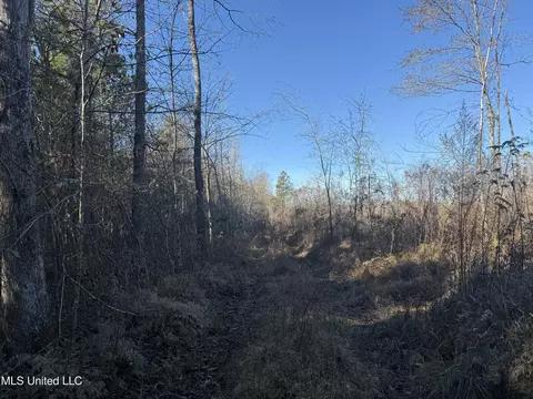 County Road 231, Mantee, MS 39751 photo 12
