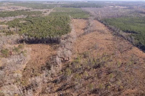 County Road 231, Mantee, MS 39751 photo 3