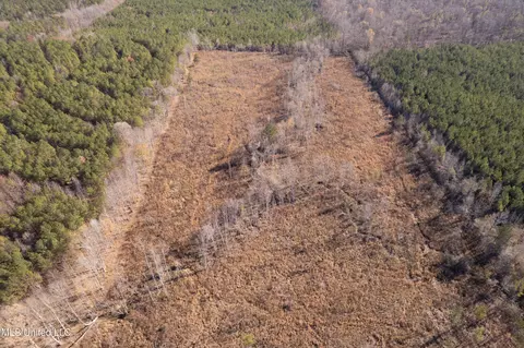 County Road 231, Mantee, MS 39751 photo 4