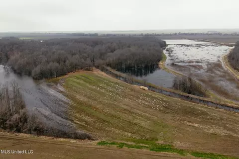 660 E New Africa Rd, Alligator, MS 38720 photo 4