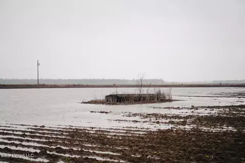 660 E New Africa Rd, Alligator, MS 38720 photo 41