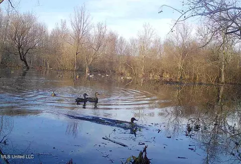 660 E New Africa Rd, Alligator, MS 38720 photo 63