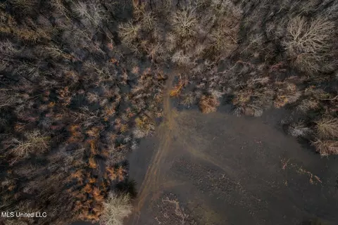 660 E New Africa Rd, Alligator, MS 38720 photo 12