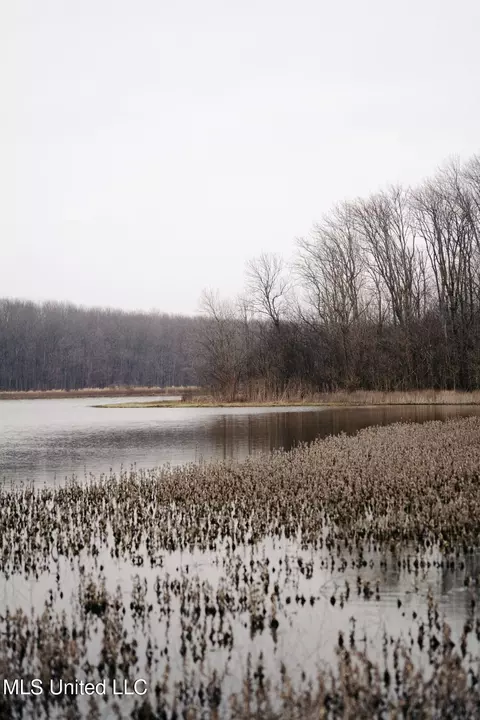 660 E New Africa Rd, Alligator, MS 38720 photo 43