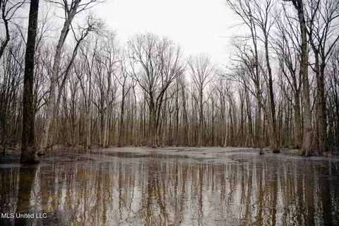 660 E New Africa Rd, Alligator, MS 38720 photo 6