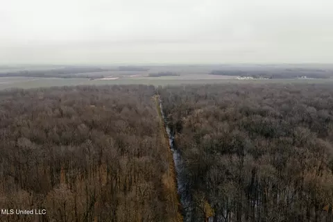 660 E New Africa Rd, Alligator, MS 38720 photo 9
