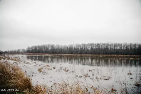660 E New Africa Rd, Alligator, MS 38720 photo 31