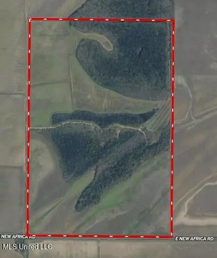 660 E New Africa Rd, Alligator, MS 38720 photo 64