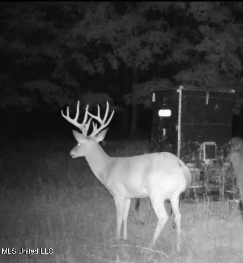 660 E New Africa Rd, Alligator, MS 38720 photo 50