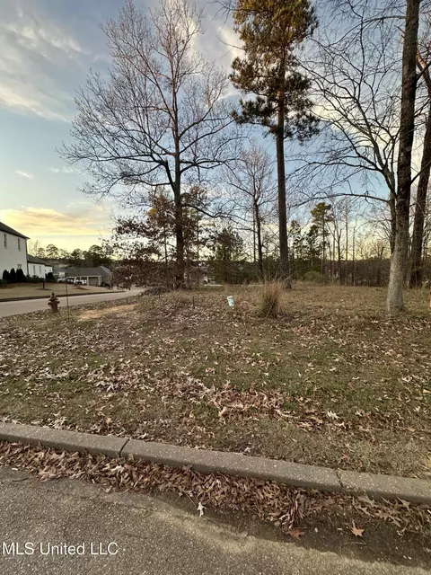N Natchez Drive, Madison, MS 39110 photo 3