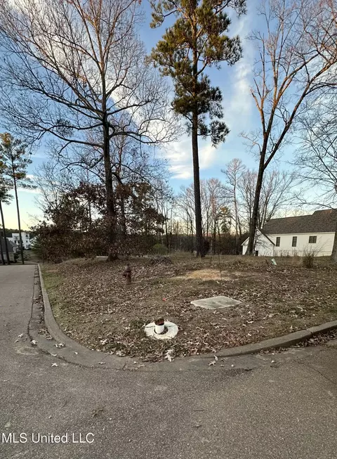 N Natchez Drive, Madison, MS 39110