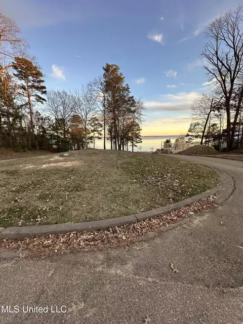 N Natchez Drive, Madison, MS 39110 photo 2