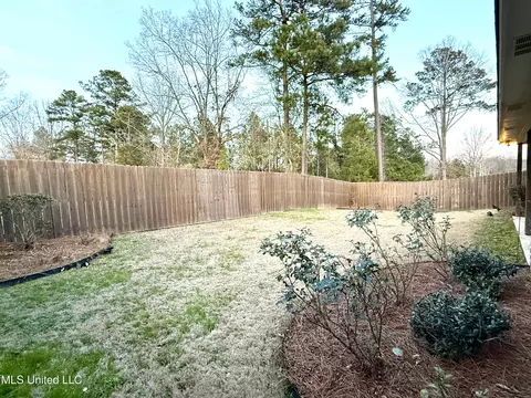 Exterior - 921 Filmore Dr, Brandon, MS 39042 photo 8 of 9