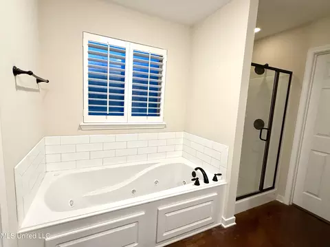 Bath - 921 Filmore Dr, Brandon, MS 39042 photo 4 of 7
