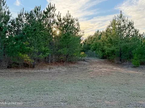 00 Airport Rd, Carthage, MS 39051
