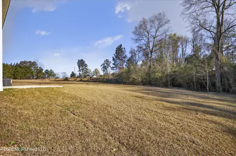 Exterior - 7 Shadow Wood Dr, Mchenry, MS 39561 photo 6 of 6