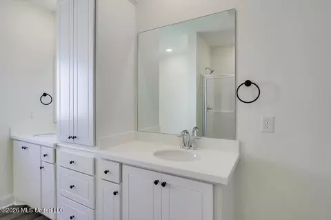Bath - 113 Hyde Park Dr, Brandon, MS 39042 photo 1 of 3