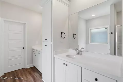 Bath - 410 Hyde Park Cv, Brandon, MS 39042 photo 1 of 2