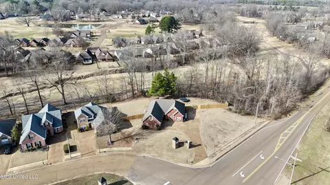 View/Area - 459 N Classic Dr, Hernando, MS 38632 photo 5 of 6