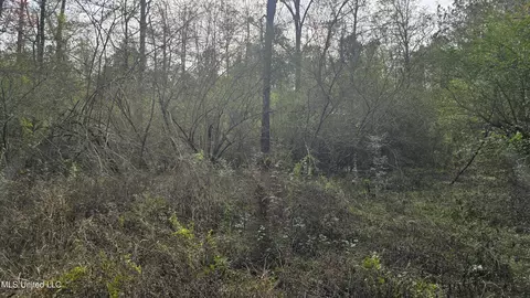 Other - 92 Price Rd, Jayess, MS 39641 photo 23 of 25