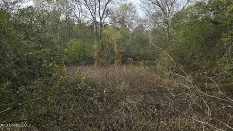 Other - 92 Price Rd, Jayess, MS 39641 photo 20 of 25