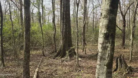 Other - 92 Price Rd, Jayess, MS 39641 photo 13 of 25