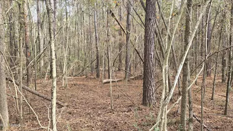 Other - 92 Price Rd, Jayess, MS 39641 photo 6 of 25