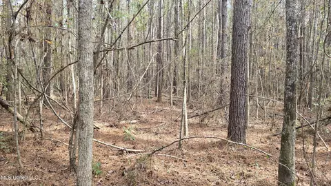 Other - 92 Price Rd, Jayess, MS 39641 photo 7 of 25
