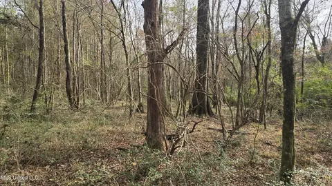 Other - 92 Price Rd, Jayess, MS 39641 photo 17 of 25