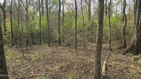 Other - 92 Price Rd, Jayess, MS 39641 photo 14 of 25