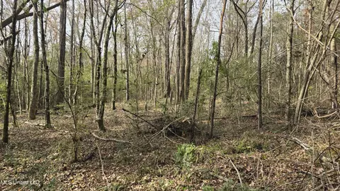 Other - 92 Price Rd, Jayess, MS 39641 photo 10 of 25