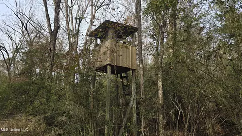Exterior - 92 Price Rd, Jayess, MS 39641 photo 11 of 13