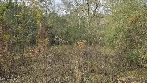 Other - 92 Price Rd, Jayess, MS 39641 photo 21 of 25