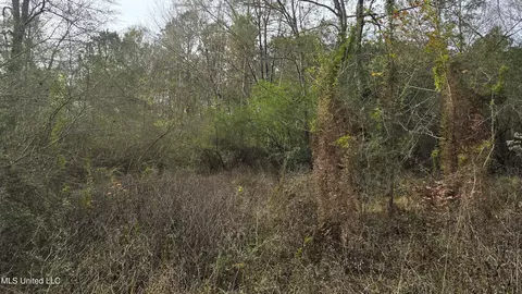 Exterior - 92 Price Rd, Jayess, MS 39641 photo 13 of 13