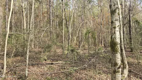 Other - 92 Price Rd, Jayess, MS 39641 photo 12 of 25