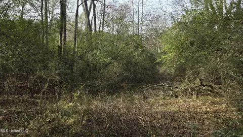Other - 92 Price Rd, Jayess, MS 39641 photo 18 of 25