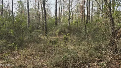 Other - 92 Price Rd, Jayess, MS 39641 photo 16 of 25