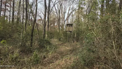 Exterior - 92 Price Rd, Jayess, MS 39641 photo 10 of 13