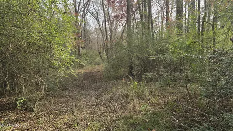 Other - 92 Price Rd, Jayess, MS 39641 photo 19 of 25