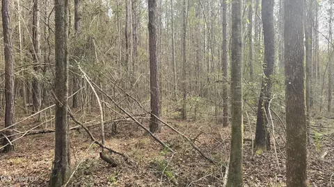 Other - 92 Price Rd, Jayess, MS 39641 photo 5 of 25