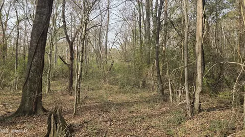 Other - 92 Price Rd, Jayess, MS 39641 photo 15 of 25