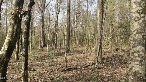Other - 92 Price Rd, Jayess, MS 39641 photo 11 of 25