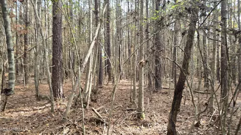 Other - 92 Price Rd, Jayess, MS 39641 photo 9 of 25