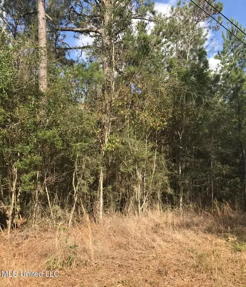 Saucier Fairley Road, Saucier, MS 39574
