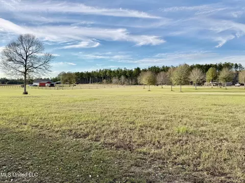2538 Timber Ln, Lucedale, MS 39452 photo 19