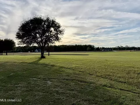 2538 Timber Ln, Lucedale, MS 39452 photo 17