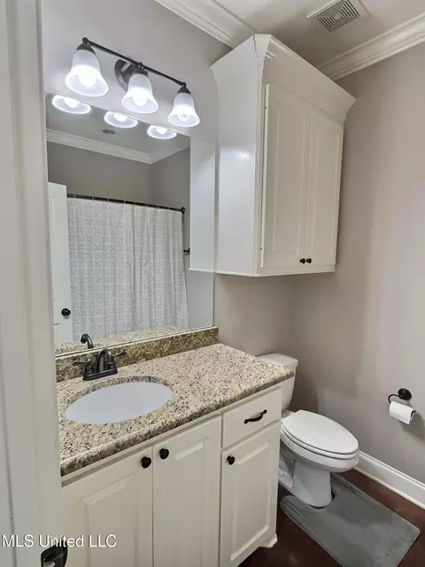 Bath - 303 Ridge Pointe Dr, Brandon, MS 39042 photo 6 of 6